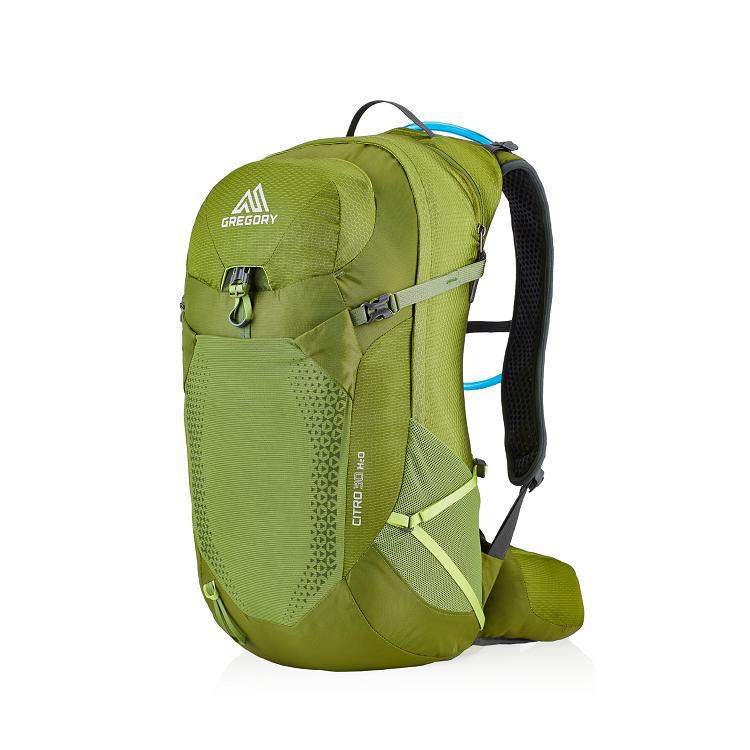 Men Gregory Citro 30 H2O Hiking Backpack Green Usa Sale NQPK27315